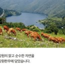 강원 한우 선물세트 로스세트 1호 후기(추석선물 기획세트)