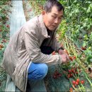 (주)보림환경 이미지