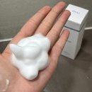 반성제일약국 | 푸레파인 좌약 일주일 사용후기