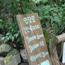 당케과자점 이미지