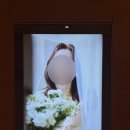 장봐주는 언니 매곡점 | W19. 서울 웨딩홀 엘타워 엘하우스홀 친언니 결혼식 후기💍