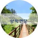 양학연당(양학저수지) | 포항 걷기 좋은 곳, 양학연당 &amp; 양학산(부학산) 둘레길