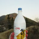 서해막걸리 이미지