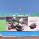 [경기 고양시 일산서구] 농협고양유통센터 - 하나로마트 고양유통센터 계약직(소매/식자재 계산원) 채용 공고 이미지