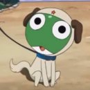 김기현농장 | 9월 첫째주 ~ 프렌치오버롤 망함, 독서맛들림, 생활한복만들기, 선유도탐조, 해오라기, 동네술집, 미리추석