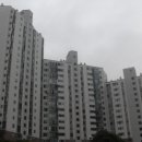 분당-134 이미지