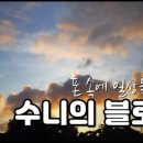 독립-16-03 이미지