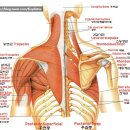 식스팩토리짐 월배점 이미지