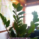 이상재공인중개사사무소 이미지