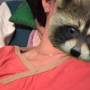 기분좋은 약손 한약국 | 퇴근하고 가기 좋은 안양역 마사지 &lt;황후약손마사지&gt; 에서 거북목 시원하게 푼 후기