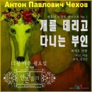 Y2모바일