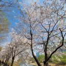 노작공원(오산천변) 네이버블로그