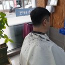 미스터남성컷트 이미지