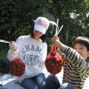 금바위농장 이미지