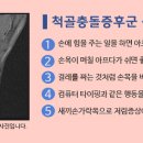 세움병원 이미지