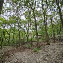 바라산자연휴양림 이미지