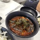 황제꽃소 이미지