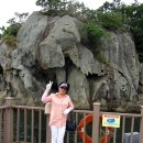 유달산 조각공원 이미지