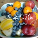 슈올즈 수영점 | 마인드풀이팅 7월 둘쨋주