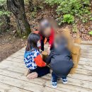 한들소풍 이미지