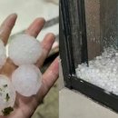 우박이네 이미지