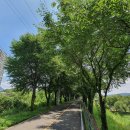 양평리버파크공인중개사사무소 이미지