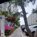 믿음배관 | 충주 삼삼공조시스템 덕분에 올여름 무더위 걱정 없이 시원한 바람을 마주하게 되었던 소중한 기록.