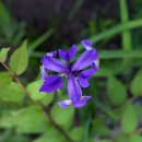 둥지민박민박 이미지