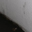 이뉴펜션2 이미지