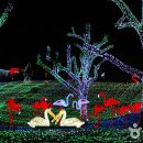 프로방스 포토랜드 이미지