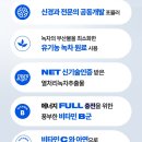 에너지뷰티케어 이미지