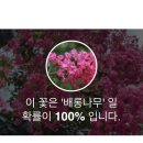 먹적골어린이공원 이미지