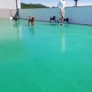 한강펫케어센터 이미지