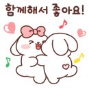 스테이제부 이미지