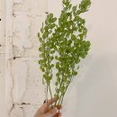 아르떼스튜디오 이미지