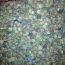 단일농장 이미지