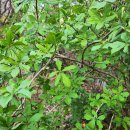 새순1농장 이미지