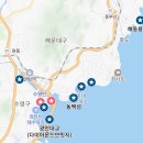 바다닮다 이미지