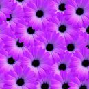 연세쉬즈산부인과의원 이미지