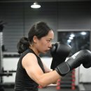 매탄복싱 이미지