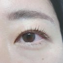 오쉘뷰티 네이버블로그