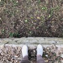 선릉삼성어린이집 이미지