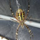 여무시농장 이미지