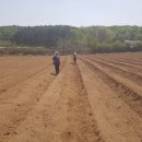 으뜸2농장 이미지