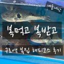 복먹고복받고(구로점) | 구로역 복집 ‘복먹고 복받고’ 방문 후기 [25.10.12]