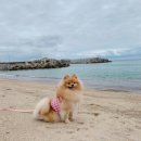 동이네민박 이미지