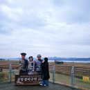 신성리생태공원 | 서천갈만한곳 신성리갈대밭