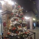 성심행정사 이미지