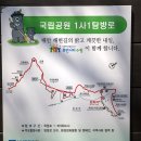 바다바라길 이미지