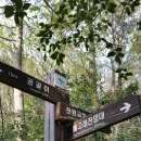 신선대 중턱 이미지